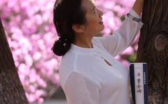 鲍勃大盗中文版